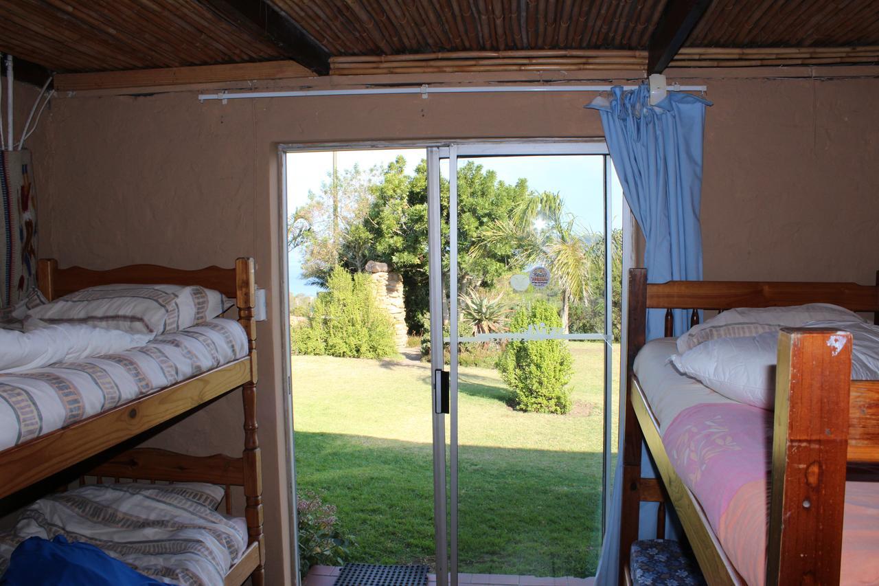 The Wild Farm Backpackers Vandrarhem Wildernis Exteriör bild