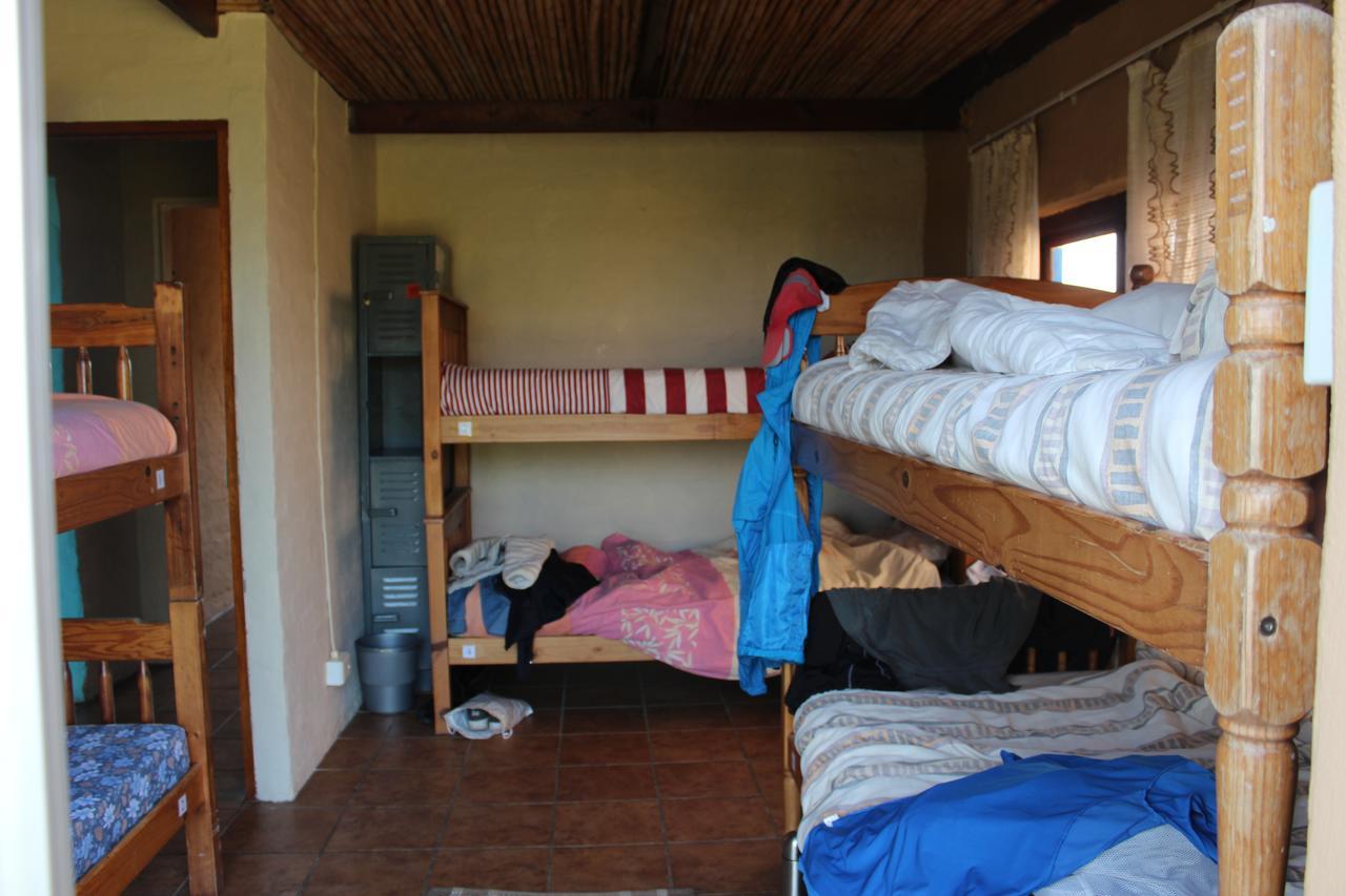 The Wild Farm Backpackers Vandrarhem Wildernis Exteriör bild